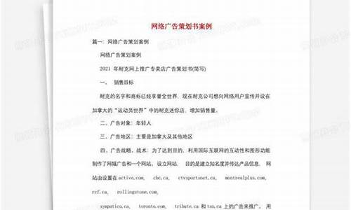 网络广告策划书大纲_网络广告策划书