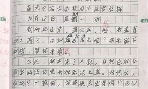 观察作文300字左右大全_观察作文300字左右大全三年级