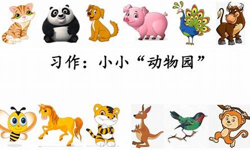 小小动物园作文300字左右只写一个人四年级上册_小小动物园400字作文四年级只写一个人