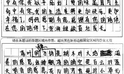 关注作文400字_关注作文400字左右